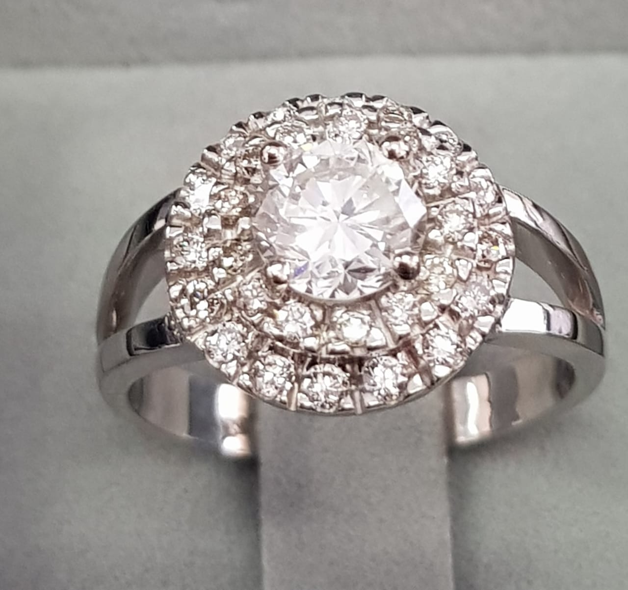 PHOTO-2022-09-12-10-59-59